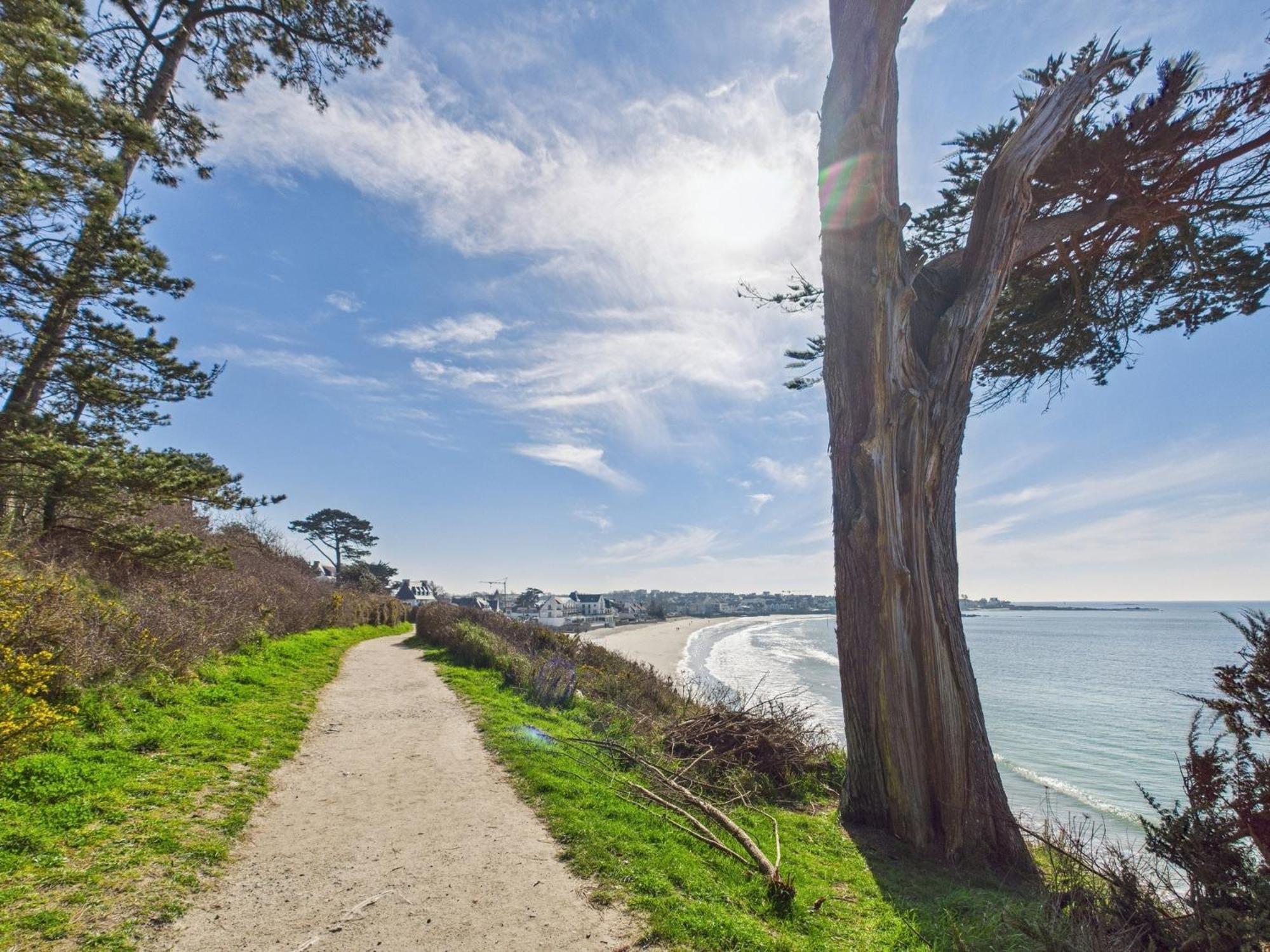 -Le Sentier- Elegant T3 Avec Jardin Proche Mer Concarneau Eksteriør bilde